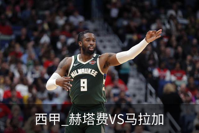 西甲 赫塔费VS马拉加